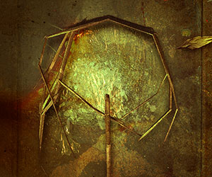 The Fragmented Root