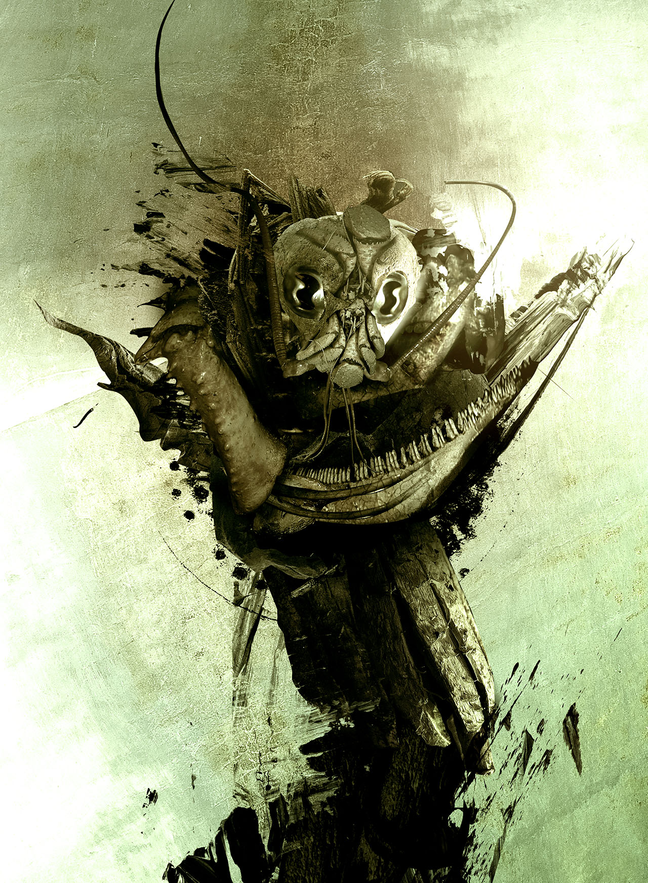 Species