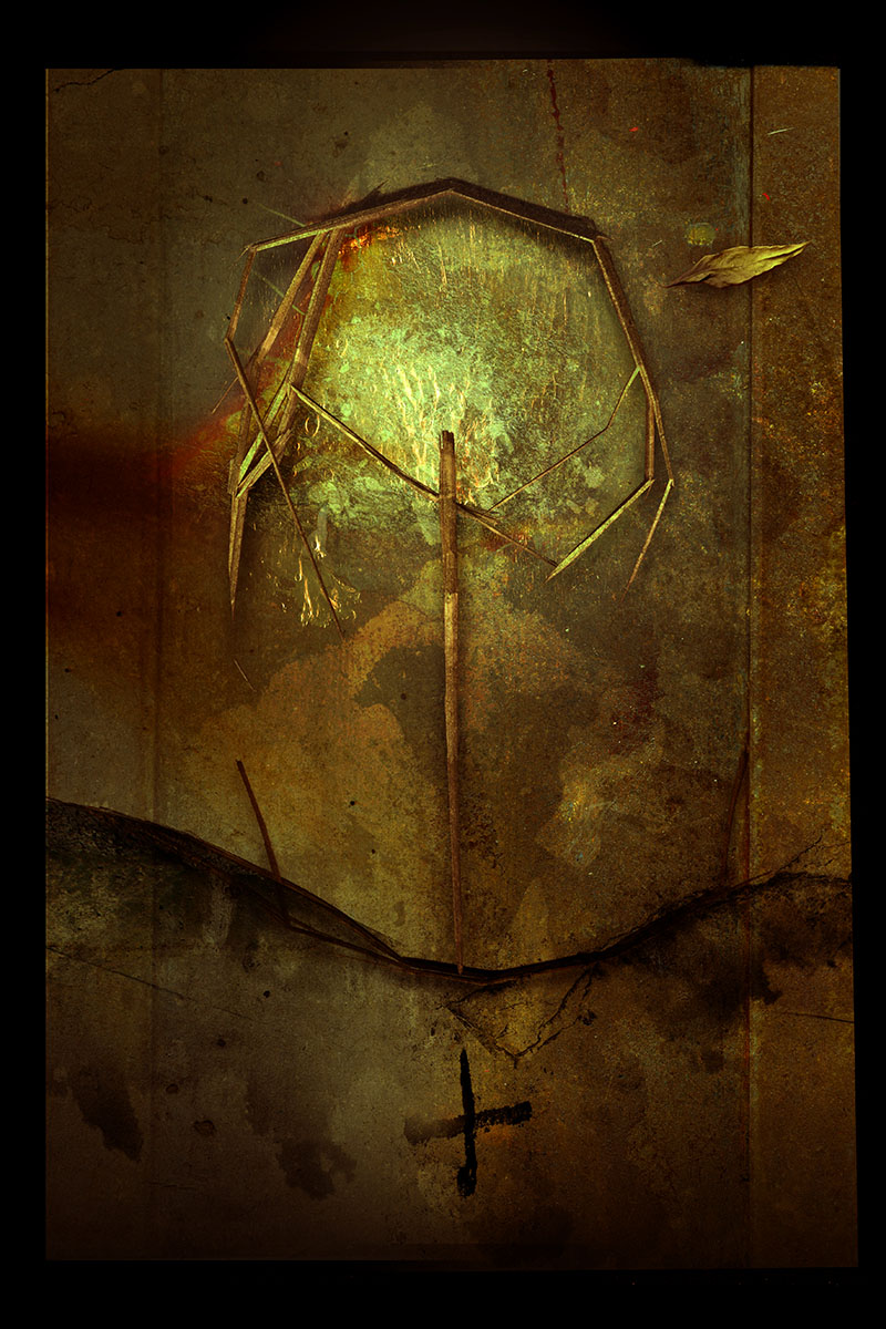 The Fragmented Root