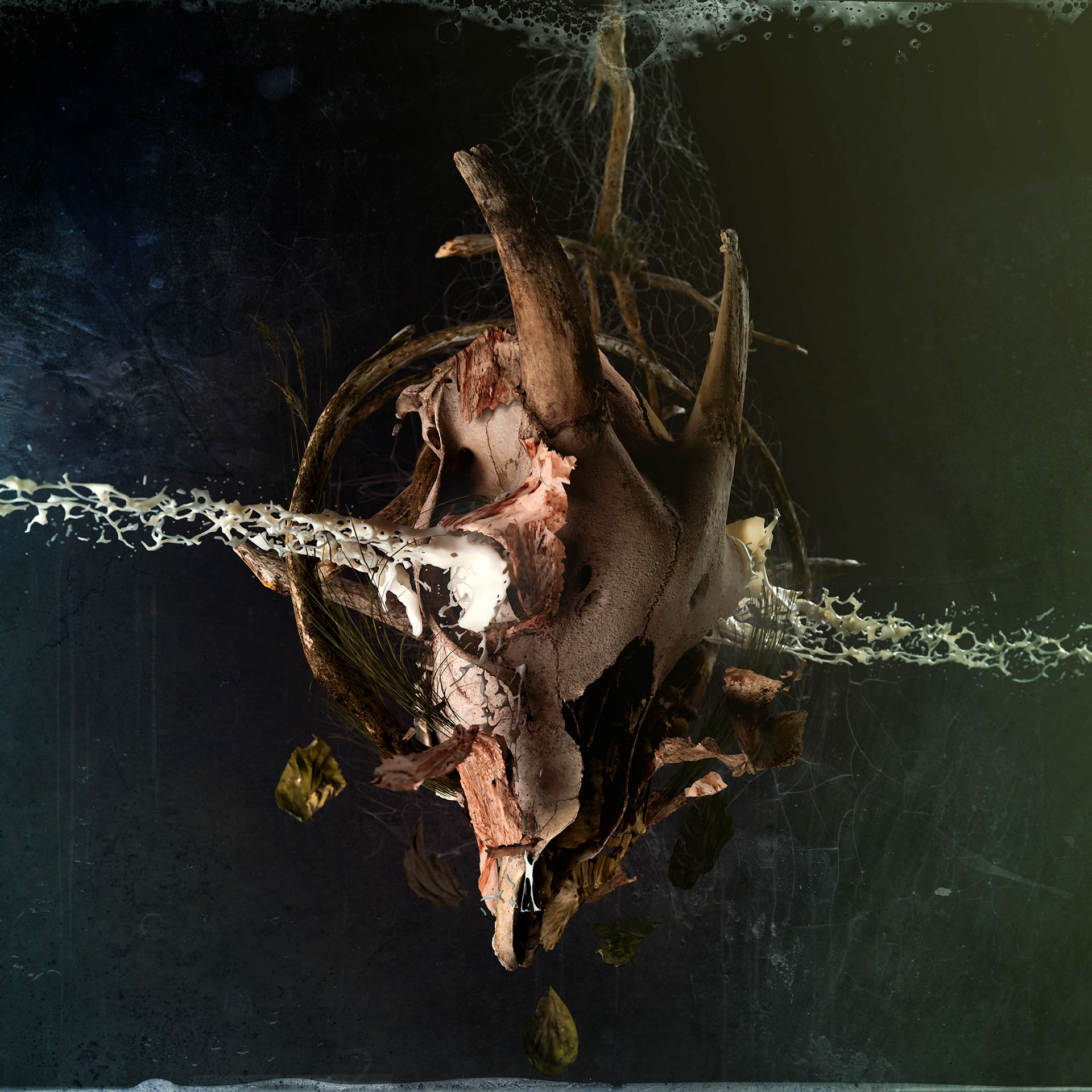 withered_II_aligned